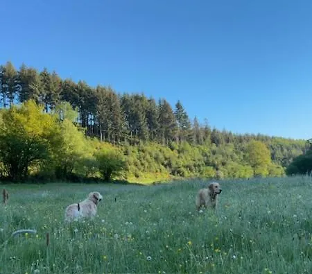 Aan Bosrand In Eifel Nabij Cochem-zell Aan De Moezel - Dichtbij De Calmont Klettersteig Bremm - Blue House Dom wakacyjny