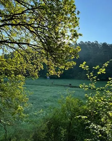 Aan Bosrand In Eifel Nabij Cochem-zell Aan De Moezel - Dichtbij De Calmont Klettersteig Bremm - Blue House 別荘 Wagenhausen