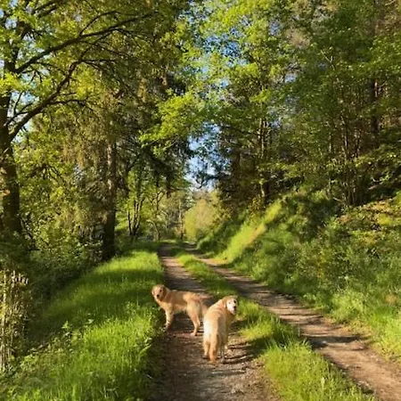 Aan Bosrand In Eifel Nabij Cochem-zell Aan De Moezel - Dichtbij De Calmont Klettersteig Bremm - Blue House