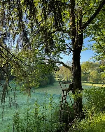 Aan Bosrand In Eifel Nabij Cochem-zell Aan De Moezel - Dichtbij De Calmont Klettersteig Bremm - Blue House Dom wakacyjny