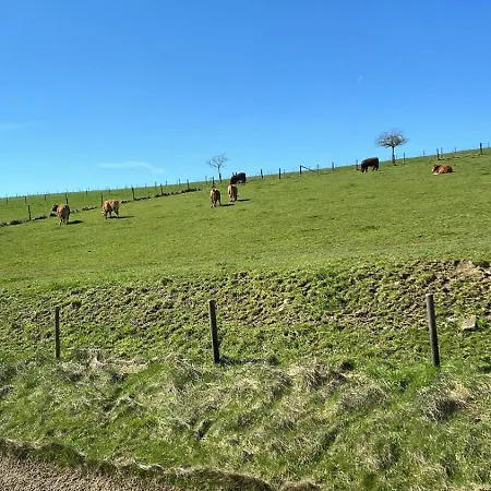 Aan Bosrand In Eifel Nabij Cochem-zell Aan De Moezel - Dichtbij De Calmont Klettersteig Bremm - Blue House *