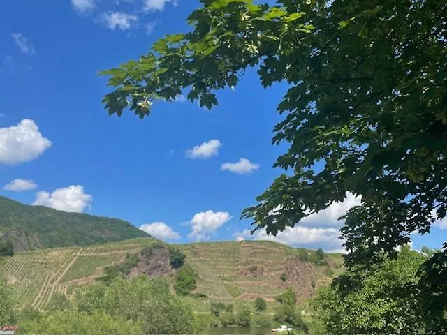Holiday home Aan Bosrand In Eifel Nabij Cochem-zell Aan De Moezel - Dichtbij De Calmont Klettersteig Bremm - Blue House *